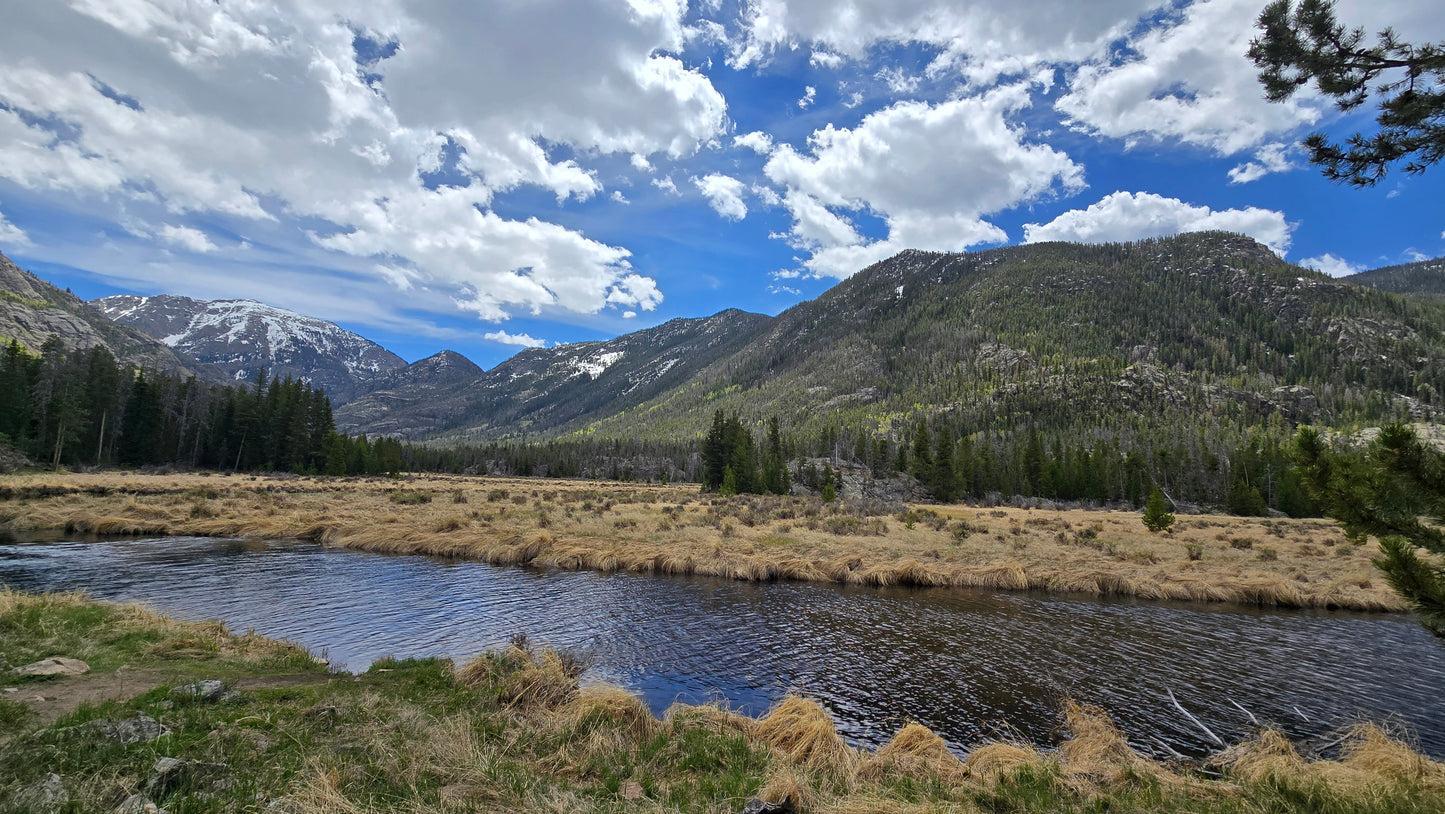 Colorado Nature Photos-Nature Lens Moments by Regina Pierson (Copy)
