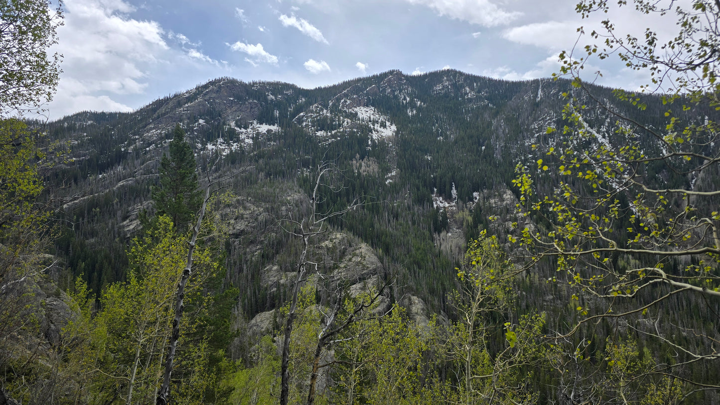 Colorado Nature Photos-Nature Lens Moments by Regina Pierson (Copy)