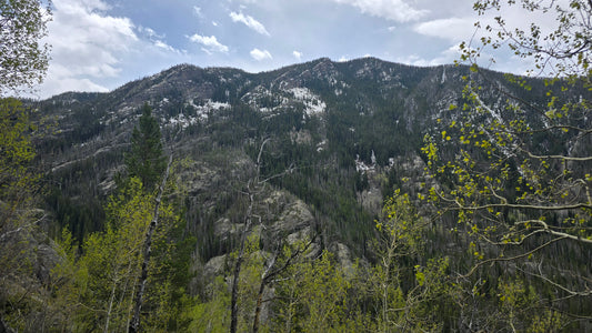 Colorado Nature Photos-Nature Lens Moments by Regina Pierson (Copy)