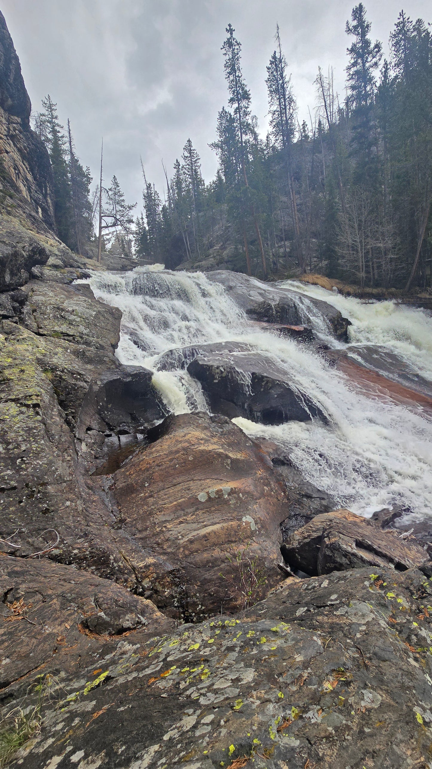 Colorado Nature Photos-Nature Lens Moments by Regina Pierson (Copy)